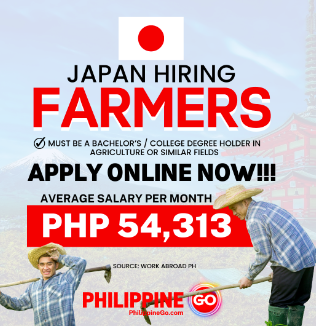 Fruit Packers And Picker Jobs In Japan urgent hiring